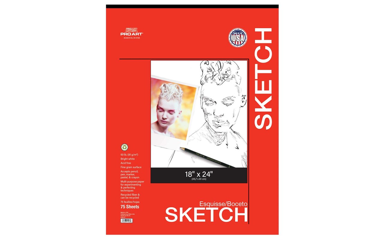 Pro Art Sketch Pad 18x24 75 sheets, 60lb, Taped, Sketch Book, Sketchbook,  Drawing Pad, Sketch Pad, Drawing Paper, Art Book, Drawing Book, Art Paper
